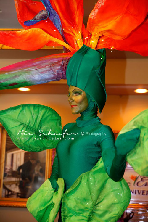 Bird of Paradise costume - Florida