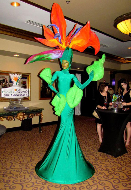 Bird of Paradise costume - Florida