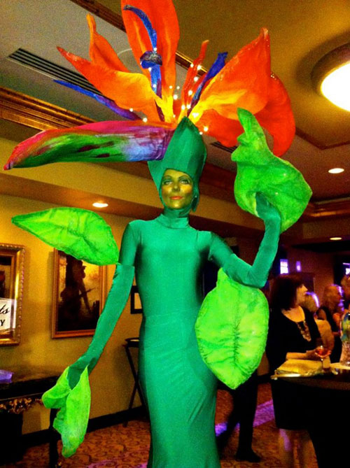 Bird of Paradise costume - Florida