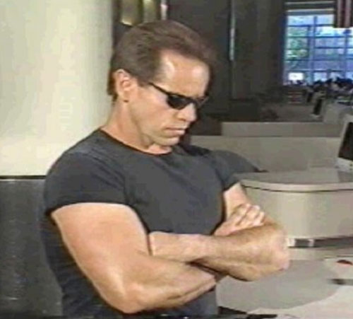 Arnold Schwartzenegger Lookalike