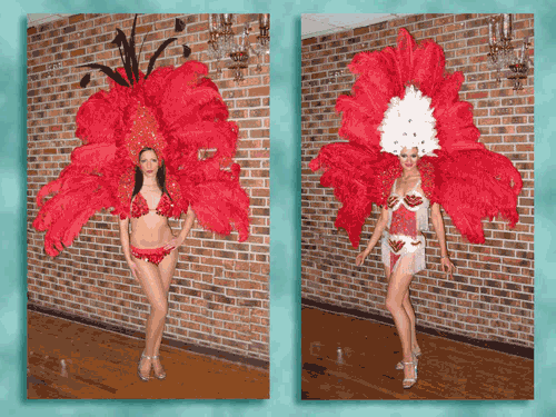 Carnaval Costumes Samba Dancers