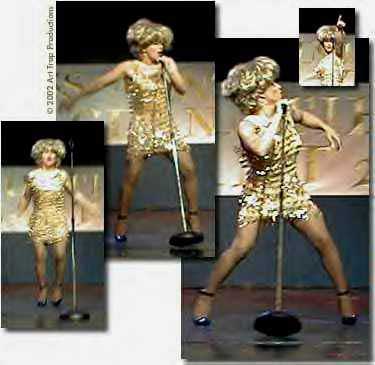Tina Turner LookAlike New York