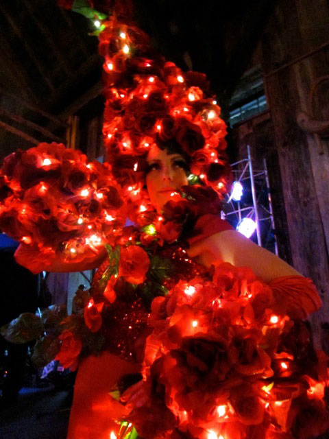 Red Illumiated Topiary - Close up