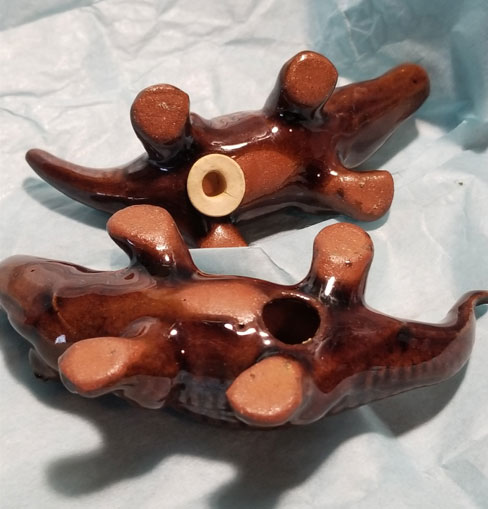 Alligators S&P shakers